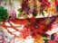 Poplín Bavlna bordúra 13008 kvety/zeleno- červeno- cyklaménovo- biely